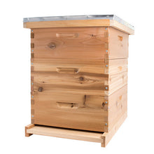  Langstroth Cedar Beehive Kit (Medium)