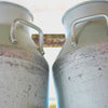 Dairy