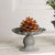 Daisy Garden Cup