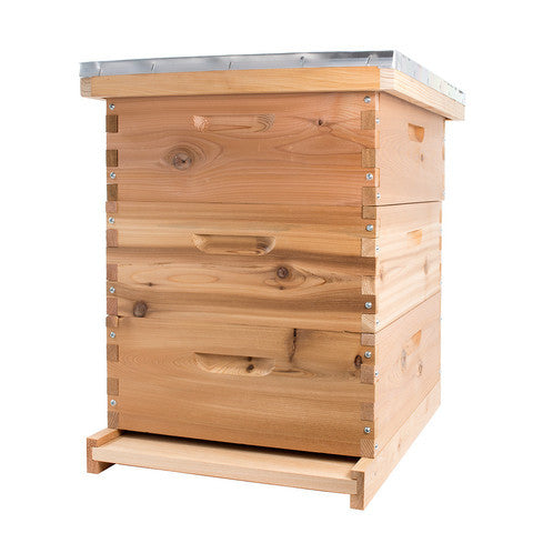 Langstroth Cedar Beehive Kit (Medium)