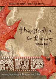Homesteading for Beginners Volume Two